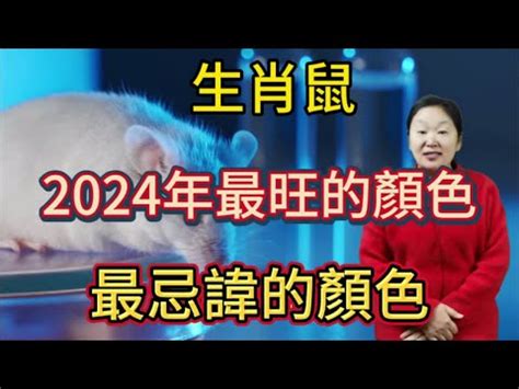 2024皮夾顏色生肖